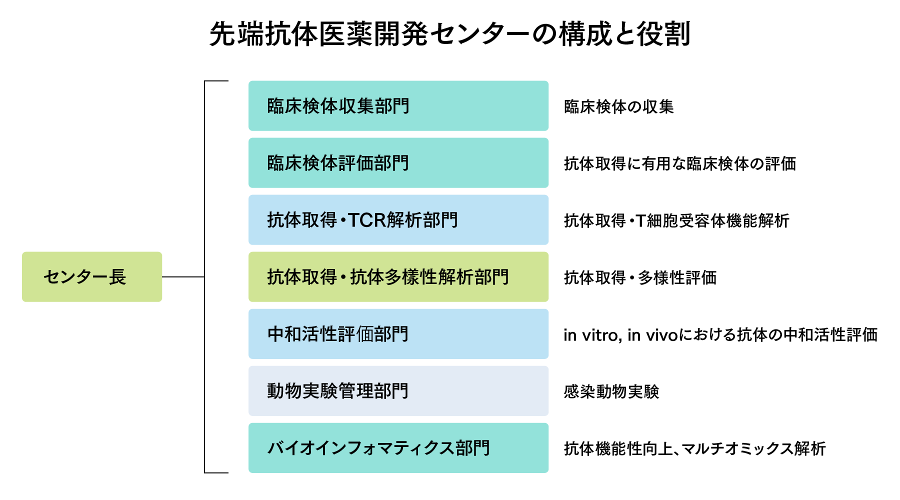 先端抗体医薬開発センターの構成と役割